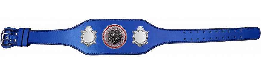 WRESTLING CHAMPIONSHIP BELT-BUD003/S/WRESTGEMS-4 COLOURS